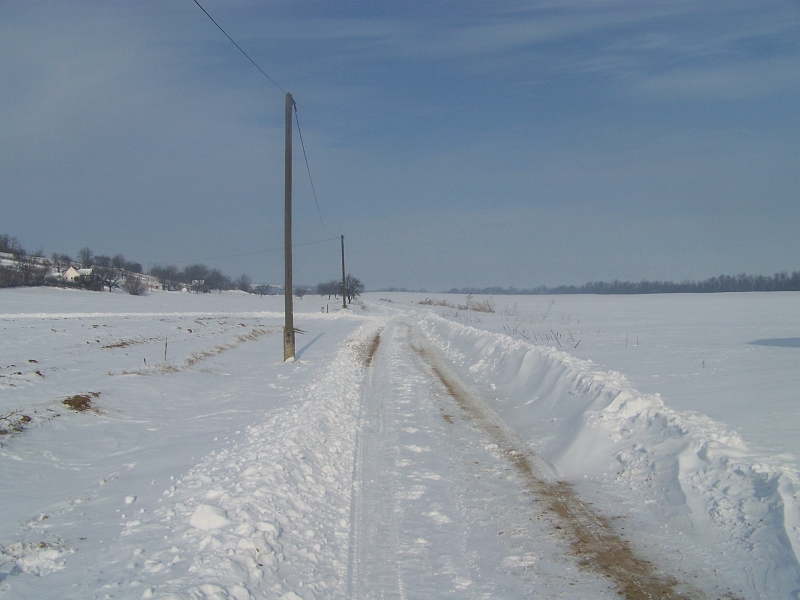2012.02.09. 054.jpg